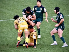 ナンバー・エイト　姫野選手