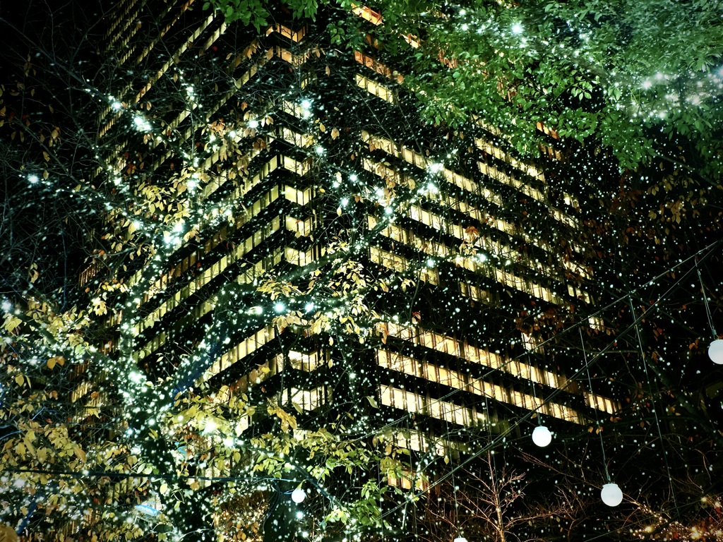 煌びやかな夜に雪が降る