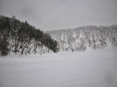 普通に撮ってもモノクロ仕上げ