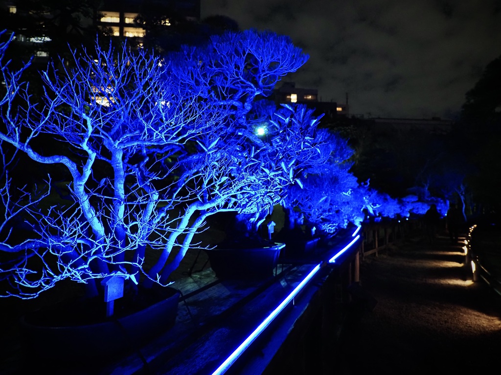 「TOKYO BLUE GARDEN 2024」3