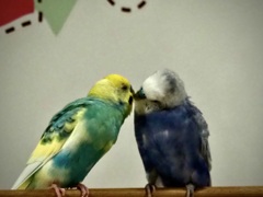 LOVE LOVE LOVE ♪2
