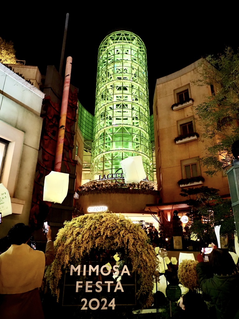 『MIMOSA FESTA 2024』2