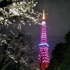 GUCCI HANAMI 特別ライトアップ3
