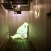 ボク、眠いの…