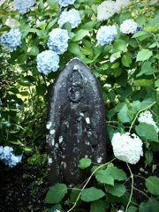観音像と紫陽花