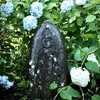 観音像と紫陽花