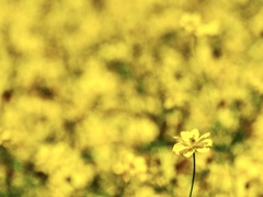 みんなを代表して