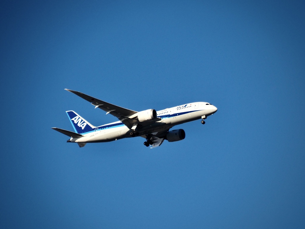 東京都庭園美術館の上空