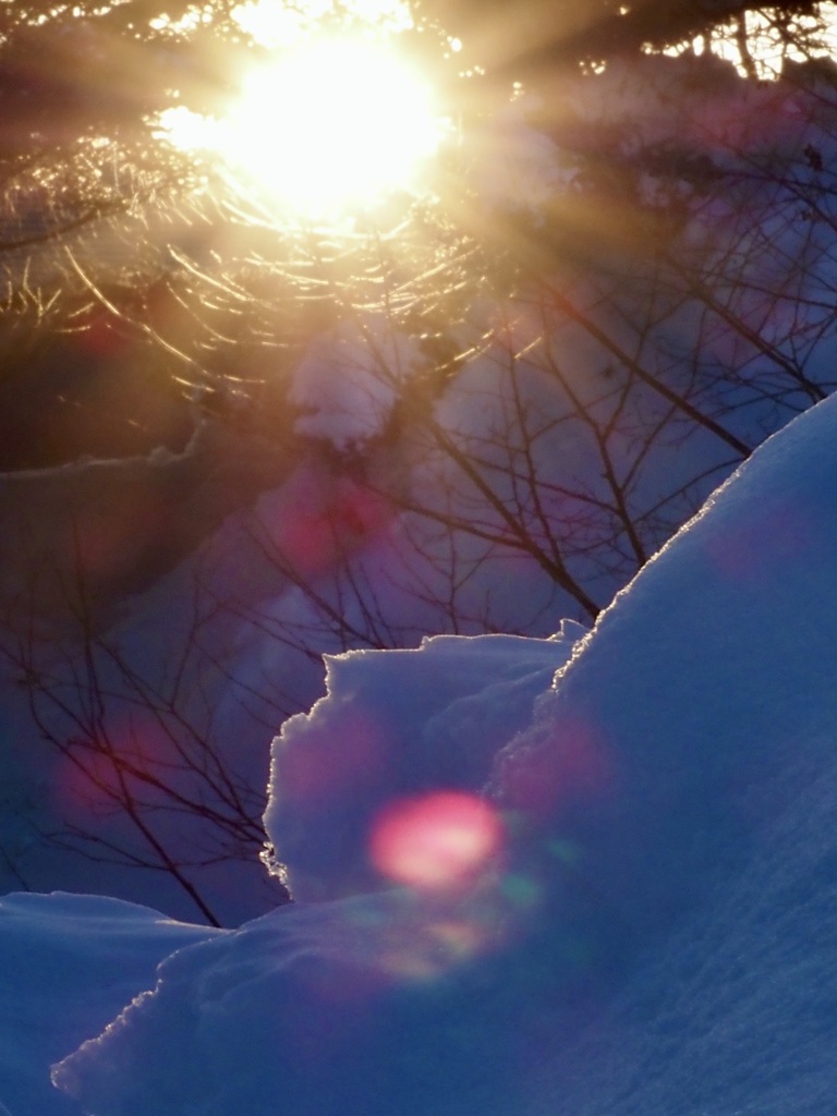雪と夕陽2