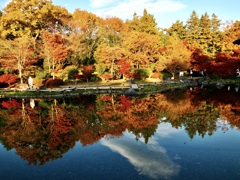 真よりも美しく