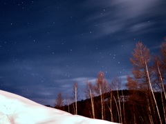 ニセコの夜空