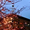 薄暮の桜 スターバックス リザーブ® ロースタリー 東京