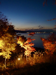 山中湖　紅葉まつりライトアップ2