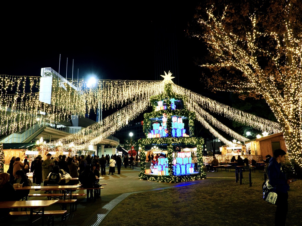 横浜公園のクリスマスツリー