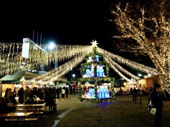 横浜公園のクリスマスツリー