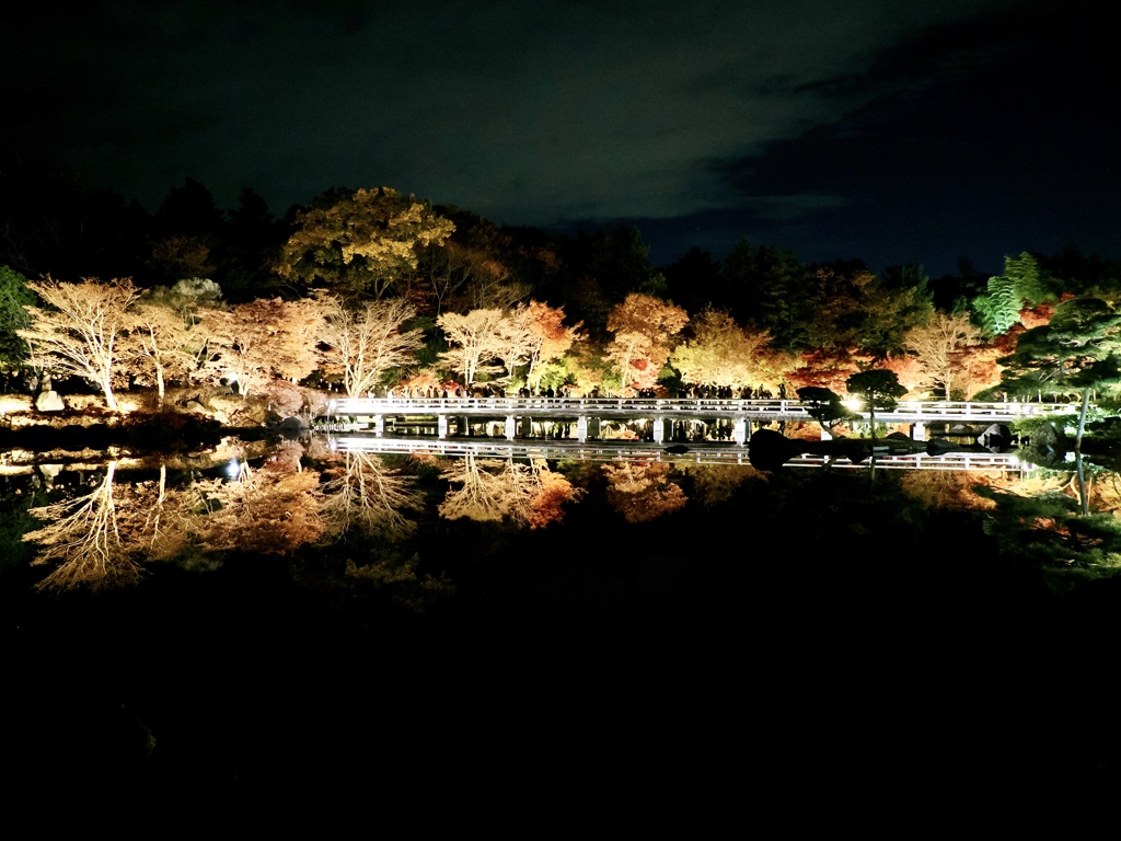 秋の夜散歩2025　日本庭園2