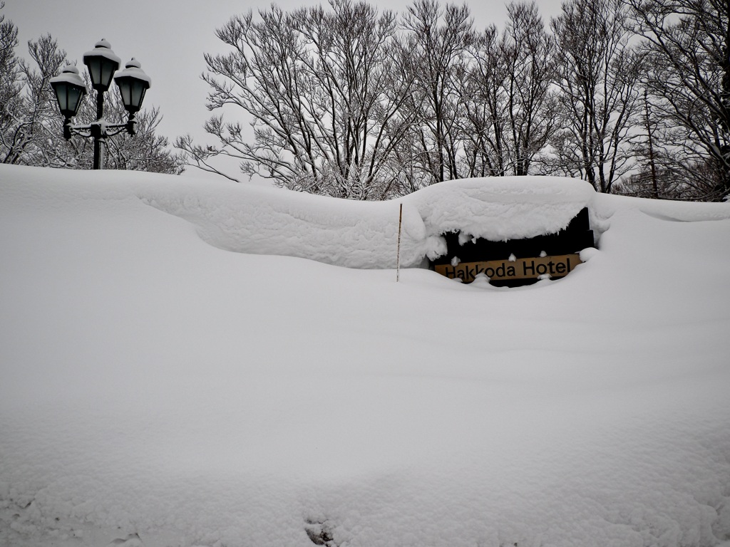 雪に埋もれる