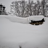 雪に埋もれる