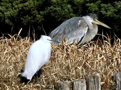 ぬくぬくが一番