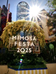 MIMOSA FESTA 2025 噴水広場前