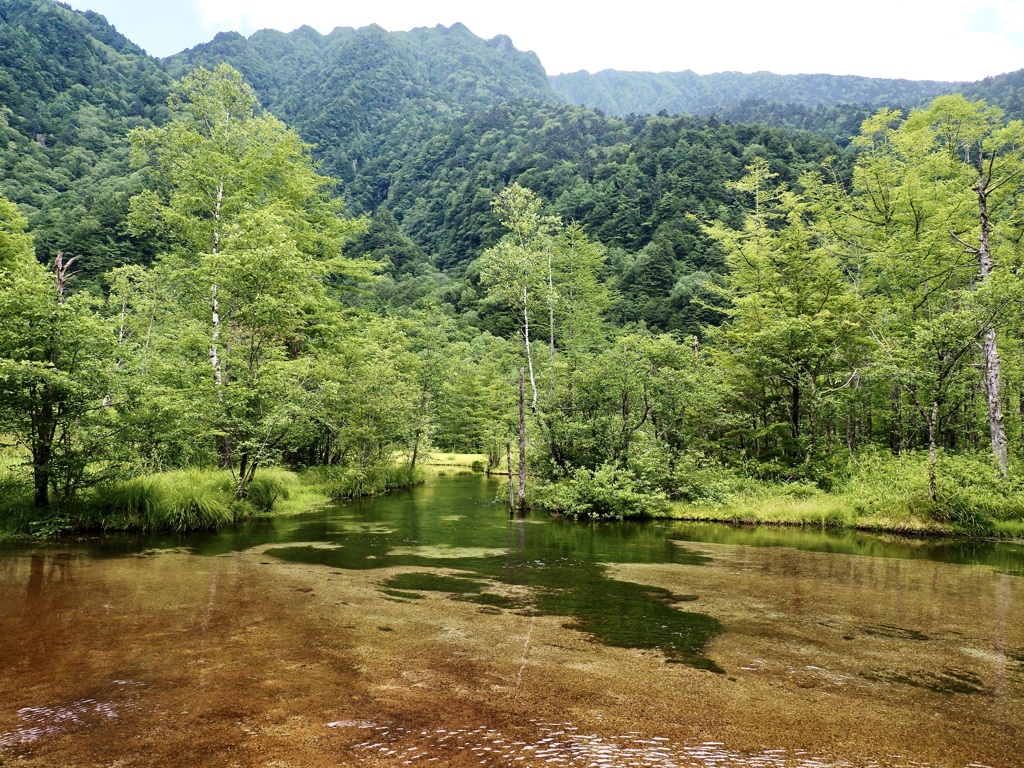 田代池