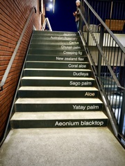 Stairway