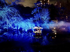 「TOKYO BLUE GARDEN 2024」6