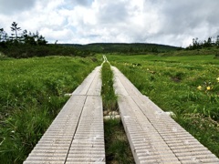 八幡平トレッキングコース