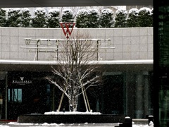 神宮外苑に降る雪