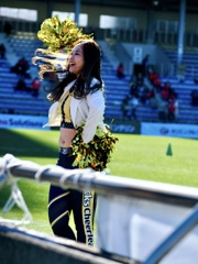 "D-Rocks Cheerleaders"（DRC）