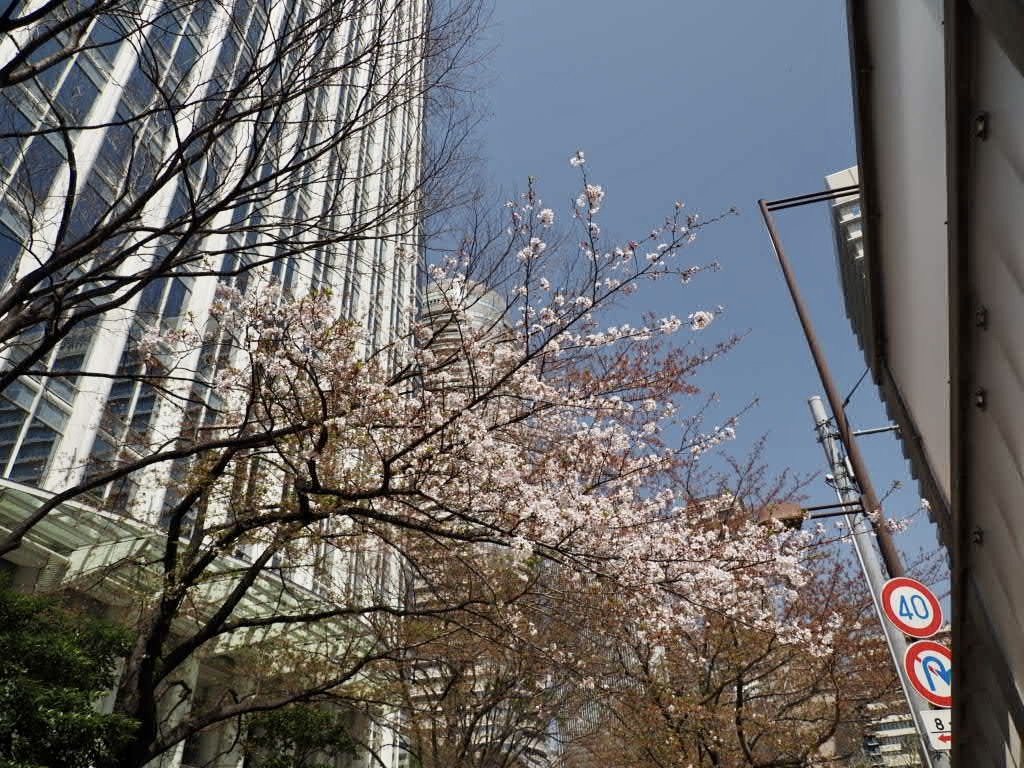 予定変更