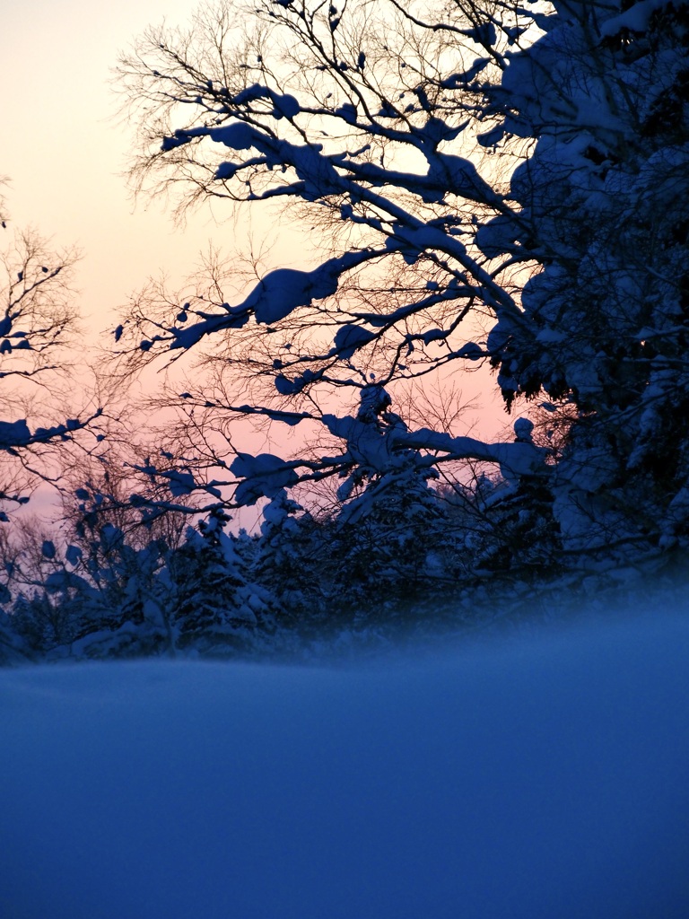 夕景を楽しむ