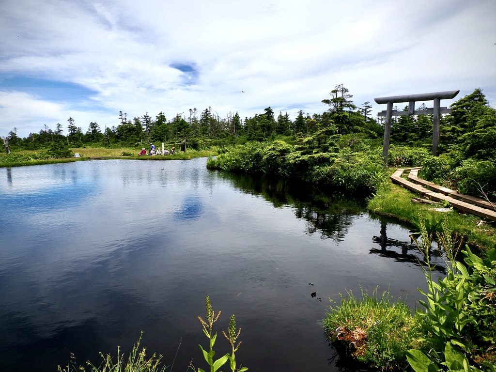稚児池と鳥居