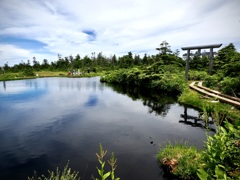 稚児池と鳥居