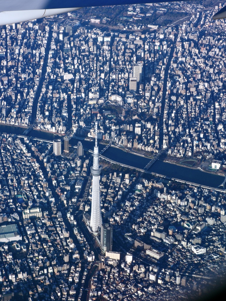 上空からの景色