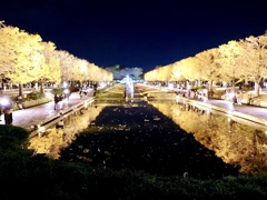 7年振りのライトアップ