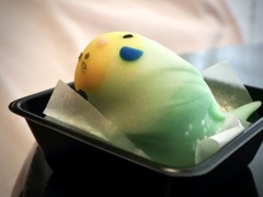 美味しいセキセイインコさん3