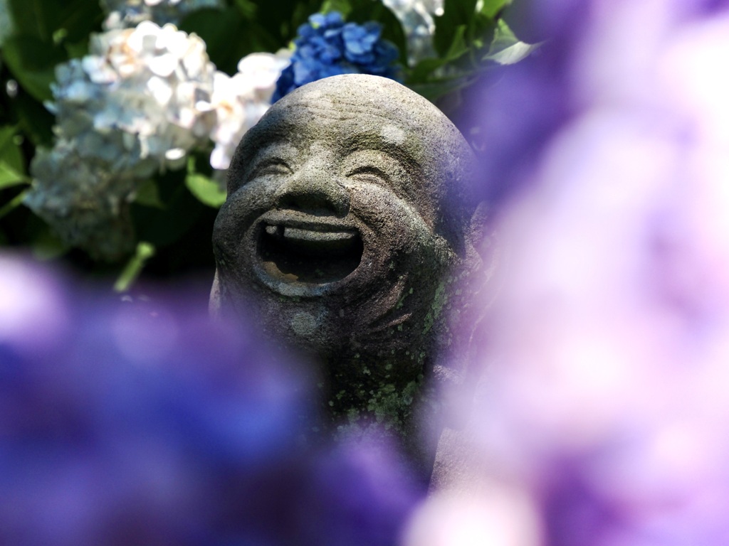 笑いが止まりません