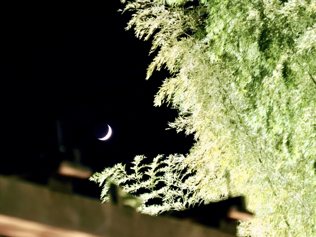 三日月と竹りん