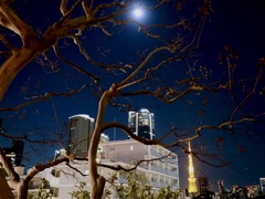 六本木ヒルズからの景色