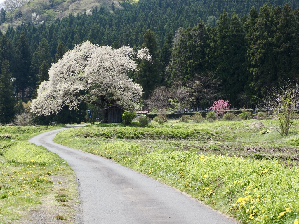 Ｗinding road