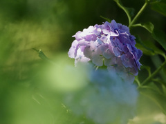light and shadow