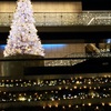 Merry Christmas5