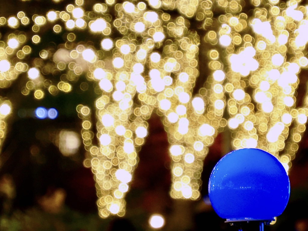 新年は華やかに