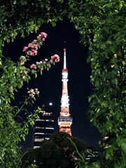 Tokyo Tower in the arch of plants