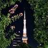 Tokyo Tower in the arch of plants