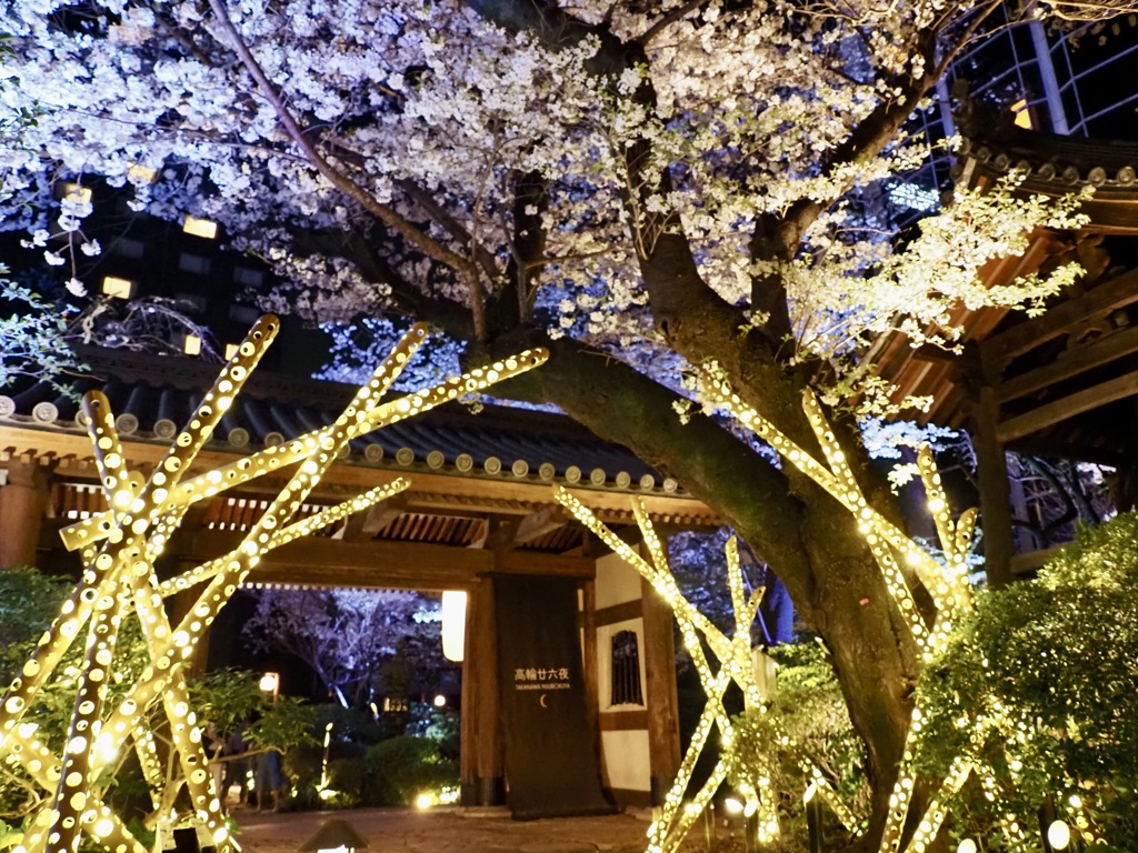 高輪 桜まつり2024・山門あかり