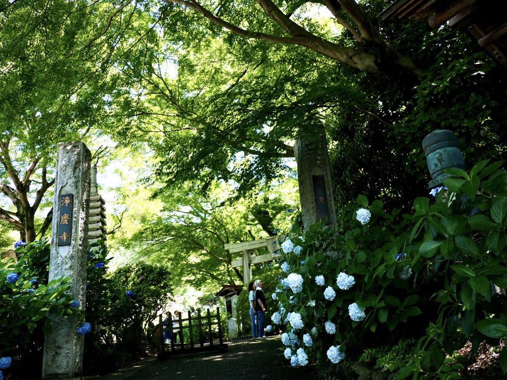 麻生山浄慶寺3