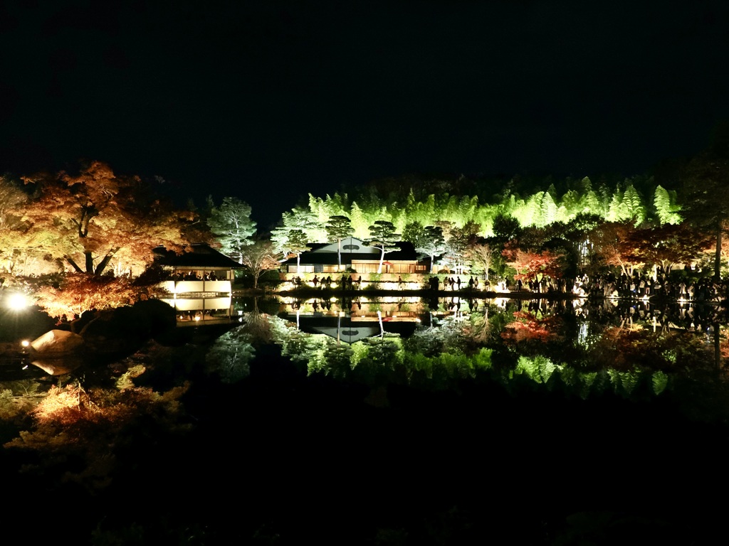 秋の夜散歩2025　日本庭園