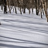 雪原に影